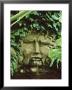 Waterspout,Mask Of Apollo Hedera Colchica, Gunnera Myles Challis Garden,East London by Clive Boursnell Limited Edition Print