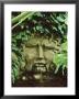 Waterspout,Mask Of Apollo Hedera Colchica, Gunnera Myles Challis Garden,East London by Clive Boursnell Limited Edition Print