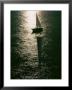 Silhouetted Sailboat On The Columbia River by David Boyer Limited Edition Print