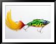 Fishing Tackle by Alan Veldenzer Limited Edition Print