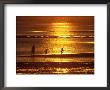 Skaket Beach, Cape Cod, Ma by John Greim Limited Edition Pricing Art Print
