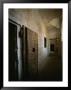 Doors To Cells Along A Hallway In The Doges Palace Prison by Todd Gipstein Limited Edition Print
