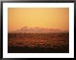 Northern Territory, The Olgas, Australia by Jacob Halaska Limited Edition Print