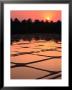 Sunset Over Rice Paddies, Goa, India by John Pennock Limited Edition Print