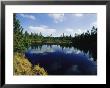 Lake View With Reflection Of Sky, Bayerischer Wald National Park by Norbert Rosing Limited Edition Print