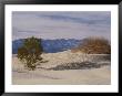 Sand Dunes In Death Valley National Monument by Marc Moritsch Limited Edition Print