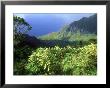 Waimea Canyon Called The Grand Canyon Of The Pacific Island Of Kauai by Daniel Cox Limited Edition Print