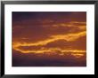 Spectacular Red, Orange And Yellow Gold Cloud Formations At Sunset, Australia by Jason Edwards Limited Edition Print