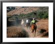 People Horseback Riding Down Dusty Track, Big Sur, California by Eddie Brady Limited Edition Print