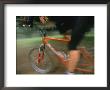 Woman Cycling, Time Exposure, Arizona by David Edwards Limited Edition Print
