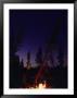 Campfire Lights Up A Tree And Campers At Cathedral Lake by Skip Brown Limited Edition Print