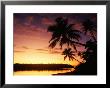 Coconut Palms Over Aitutaki Lagoon, Aitutaki, Southern Group, Cook Islands by John Banagan Limited Edition Print