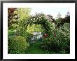 View Of Pond Through Timber Arch Covered With Rosa Francis E. Lester New Barn by Sunniva Harte Limited Edition Print