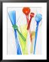 A Selection Of Plastic Ice Cream Spoons by Marc O. Finley Limited Edition Print