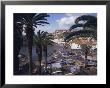 Camara De Lobos, Madeira, Portugal, Europe by Jennifer Fry Limited Edition Print