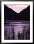 Earthquake Lake, Madison River Quake Area, Gallatin National Forest by Raymond Gehman Limited Edition Print