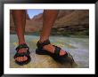 Detail Of Sandals And Feet In The Grand Canyon National Park, Arizona by Bobby Model Limited Edition Pricing Art Print
