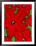 Nicotiana Flowers by Wallace Garrison Limited Edition Print