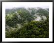 Aerial View Of Rainforest With Clouds, Costa Rica by Roy Toft Limited Edition Print
