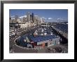 Bell Street Pier And Harbor On Elliott Bay, Seattle, Washington, Usa by Connie Ricca Limited Edition Print
