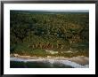 An Aerial View Of The Beach Where Mike Fay Ended His Megatransect by Michael Nichols Limited Edition Pricing Art Print