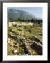 Archaeological Ruins Of The Ancient City Of Solin, Split, Dalmatia Coast, Croatia by Christian Kober Limited Edition Print