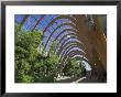 Millennium Winter Gardens, Sheffield, Yorkshire, England, United Kingdom by Neale Clarke Limited Edition Print