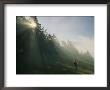 A Boy Walks Down A Hill In Banff National Park by Raymond Gehman Limited Edition Print