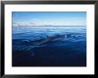 Fin Whale At Surface, Baja, California by Gerard Soury Limited Edition Print