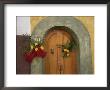 An Arched Doorway Adorned With Flowers by Raul Touzon Limited Edition Print