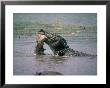 Swamp Crocodile Eating Python, Sri Lanka by Mary Plage Limited Edition Print