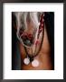 Detail Of Jewellery Worn By Man, Pushkar, Rajasthan, India by Daniel Boag Limited Edition Pricing Art Print