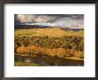 Murray River, Near Towong, Victoria, Australia by Jochen Schlenker Limited Edition Print