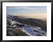 Shouf Cedar Nature Reserve, Lebanon Moutains, Lebanon by Ivan Vdovin Limited Edition Print