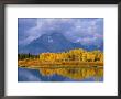Mt, Moran And Snake River At Oxbow Bend, Grand Teton National Park, Wyoming, Usa Autumn by Pete Cairns Limited Edition Print