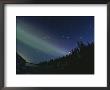 The Northern Lights Shine In The Sky by Paul Nicklen Limited Edition Print