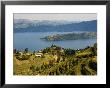 Lake Burera Near Ruhengeri At The Virunga Mountains, Rwanda by Ariadne Van Zandbergen Limited Edition Print