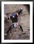 A Rock Climber Clings To The Side Of A Cliff by Raymond Gehman Limited Edition Print