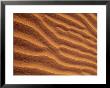 Sand Dunes Furrowed By Winds, Morocco by John & Lisa Merrill Limited Edition Pricing Art Print