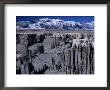 Mono Lake Tufa State Reserve View, Mono Lake, California, Usa by Mark Newman Limited Edition Pricing Art Print