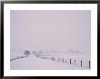 Wood And Wire Fences Running Across A Snowy Field by Kenneth Garrett Limited Edition Print