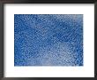 A View Of The Sky Filled With Cottonball Clouds by Todd Gipstein Limited Edition Pricing Art Print