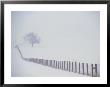 View Along A Wood And Wire Fence Running Across A Snowy Field by Kenneth Garrett Limited Edition Print