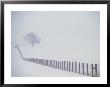 View Along A Wood And Wire Fence Running Across A Snowy Field by Kenneth Garrett Limited Edition Print