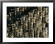 Stacks Of Quarters by Todd Gipstein Limited Edition Print