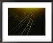 Train Tracks Disappearing Into The Distance Around A Curve by Todd Gipstein Limited Edition Print