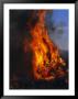 Flames From A Prescribed Fire Burn Trees And Sagebrush by Melissa Farlow Limited Edition Print