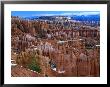 Amphitheatre Of Bryce Canyon National Park At Bryce Canyon by Rob Blakers Limited Edition Pricing Art Print