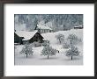 Switzerland, Winter Snow Scene In Alps Near Appenzell by Brimberg & Coulson Limited Edition Print