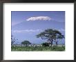 Mount Kilimanjaro, Amboseli National Park, Kenya by Art Wolfe Limited Edition Pricing Art Print